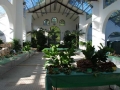 La mostra